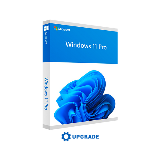 Acheter une Licence Windows 11
