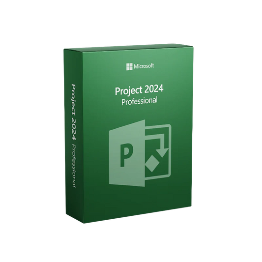 Microsoft Office Ms Project
