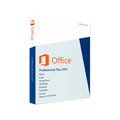 Microsoft Office Professional Plus 2013
