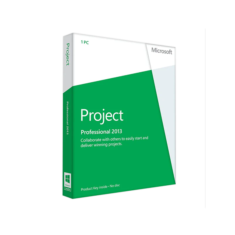 Microsoft Office Project 2013
