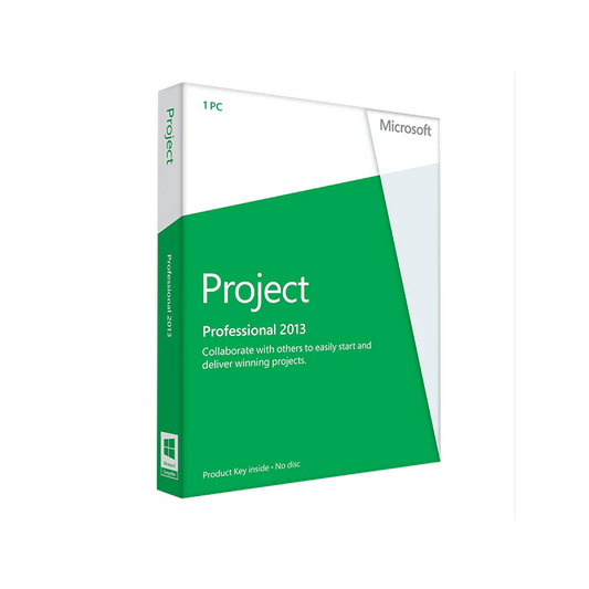 Microsoft Office Project 2013
