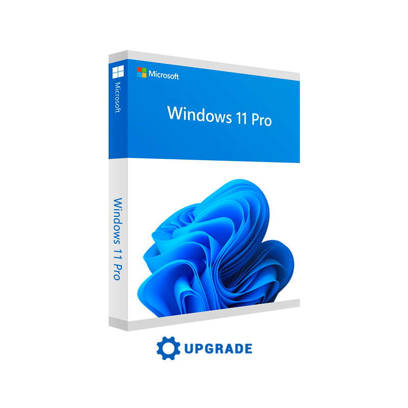 Windows 11 Licence
